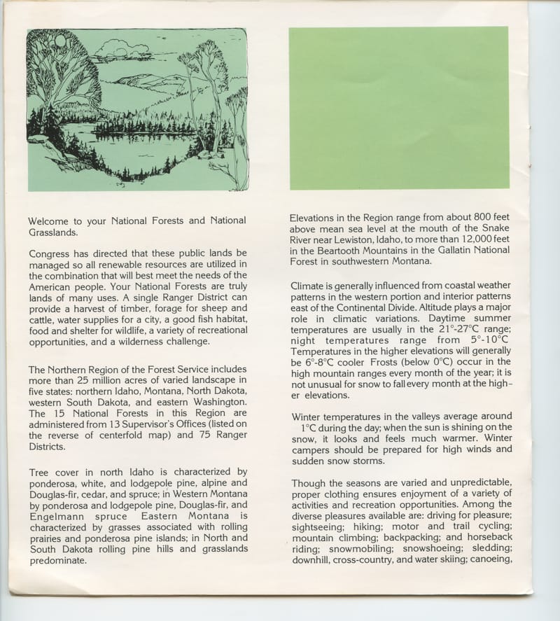 Scan 7