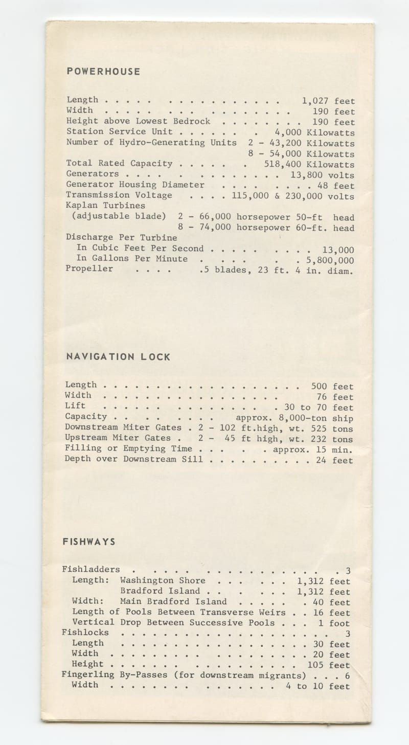 Scan 6