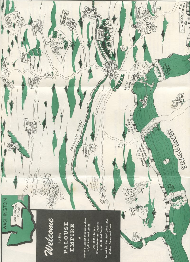 Scan 18