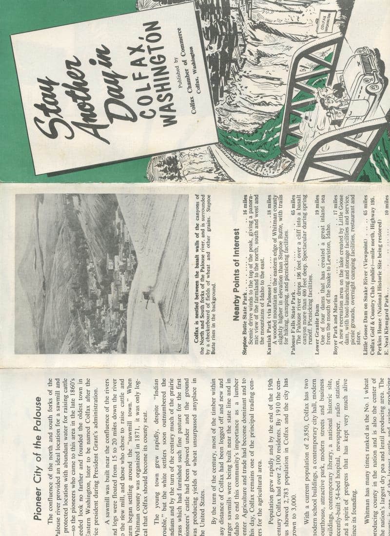 Scan 19