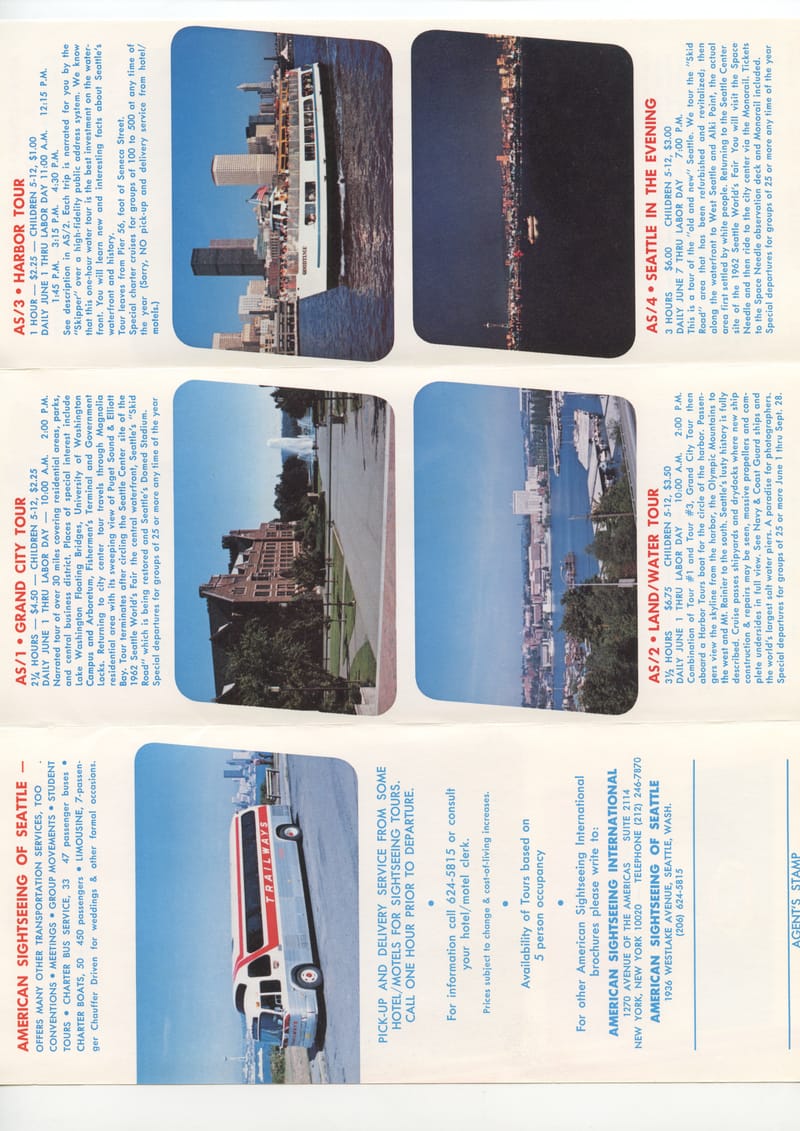 Scan 15