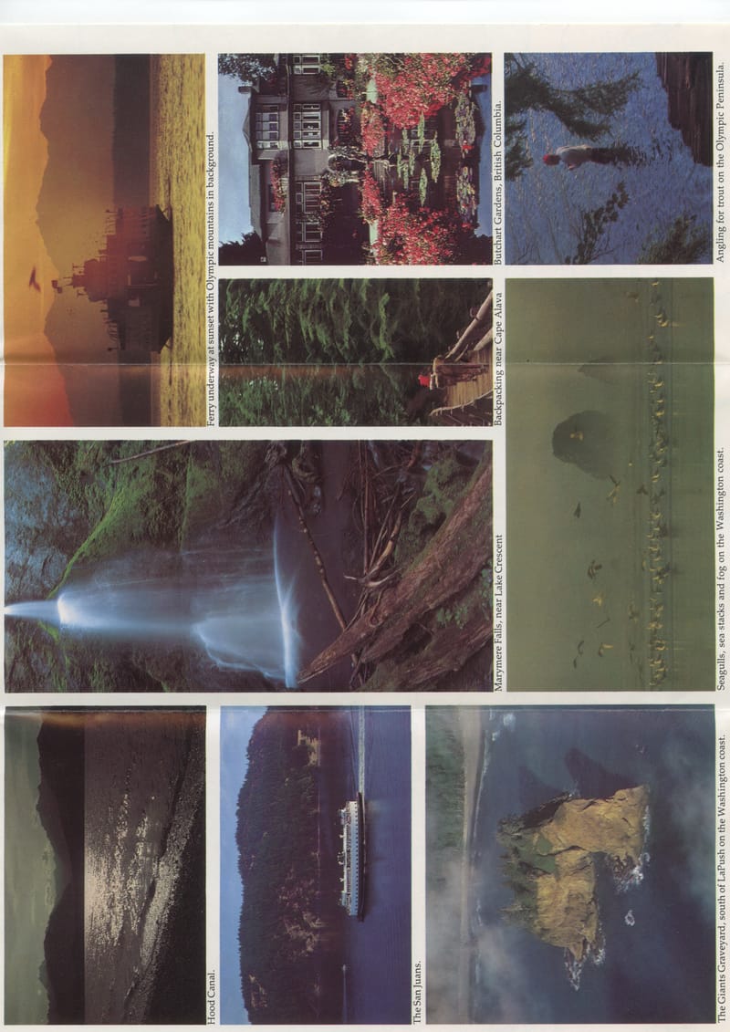 Scan 9